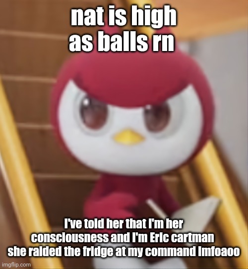 BOOK ❗️ | nat is high as balls rn; I've told her that I'm her consciousness and I'm Eric cartman 
she raided the fridge at my command lmfoaoo | image tagged in book | made w/ Imgflip meme maker