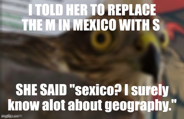 CRYINGNFNGGNGHFJEYS | I TOLD HER TO REPLACE THE M IN MEXICO WITH S; SHE SAID "sexico? I surely know alot about geography." | image tagged in shocked bird | made w/ Imgflip meme maker