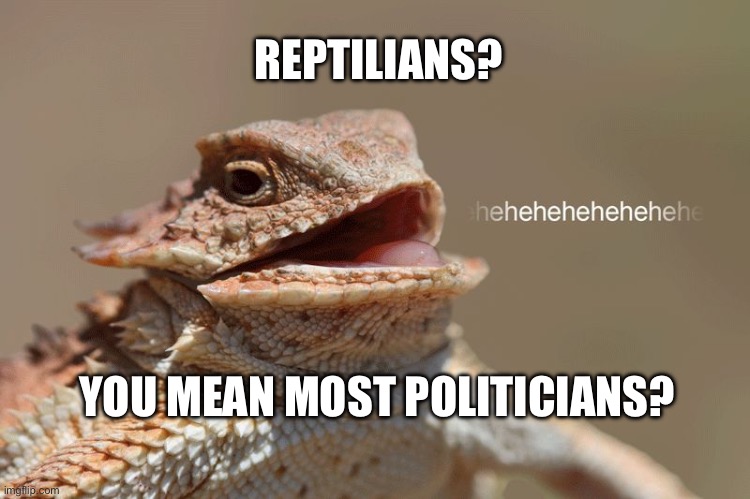 laughing lizard | REPTILIANS? YOU MEAN MOST POLITICIANS? | image tagged in laughing lizard,politicians,political meme | made w/ Imgflip meme maker