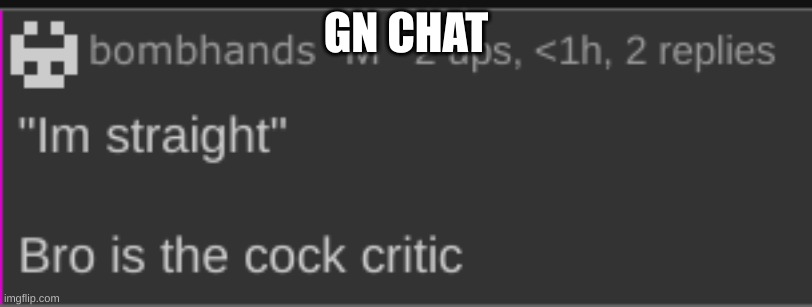 gn chat | GN CHAT | image tagged in cock critic | made w/ Imgflip meme maker