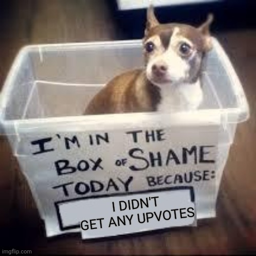 box of shame dog | I DIDN'T GET ANY UPVOTES | image tagged in box of shame dog | made w/ Imgflip meme maker