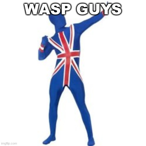 WASP GUYS | image tagged in m | made w/ Imgflip meme maker