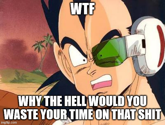 raditz wtf | WTF WHY THE HELL WOULD YOU WASTE YOUR TIME ON THAT SHIT | image tagged in raditz wtf | made w/ Imgflip meme maker