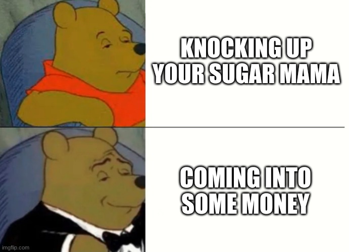. | KNOCKING UP YOUR SUGAR MAMA; COMING INTO SOME MONEY | image tagged in fancy winnie the pooh meme | made w/ Imgflip meme maker