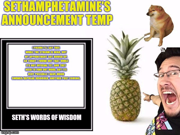 Seth's announcement temp | I FIGURE I'LL SAY THIS WHILE THE STREAM IS DEAD, BUT MY APPOINTMENT GOT MOVED UP, SO TODAY I FOUND OUT THAT WHILE ITS NOT OFFICIAL YET, AND THEY NEED TO FIND OUT MORE, BUT ITS VERY POSSIBLE I HAVE MOOD SWINGS/BIPOLAR DISORDER. ANOTHER POST COMING. | image tagged in seth's announcement temp | made w/ Imgflip meme maker