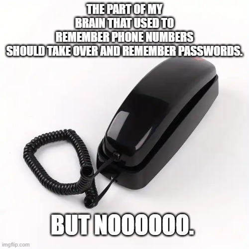 phone passwords | THE PART OF MY BRAIN THAT USED TO REMEMBER PHONE NUMBERS SHOULD TAKE OVER AND REMEMBER PASSWORDS. BUT NOOOOOO. | image tagged in phone passwords | made w/ Imgflip meme maker