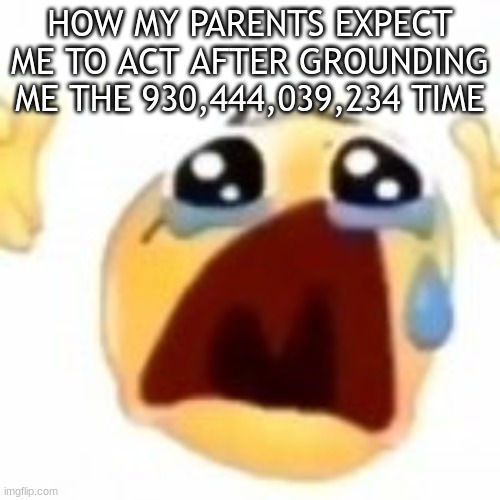HOW MY PARENTS EXPECT ME TO ACT AFTER GROUNDING ME THE 930,444,039,234 TIME | image tagged in m | made w/ Imgflip meme maker