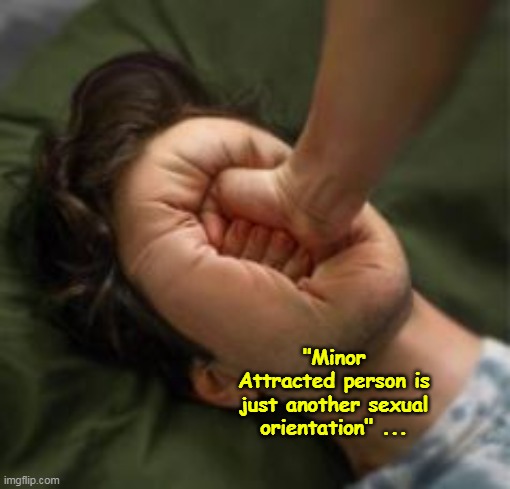 "Minor Attracted person is just another sexual orientation" ... | made w/ Imgflip meme maker