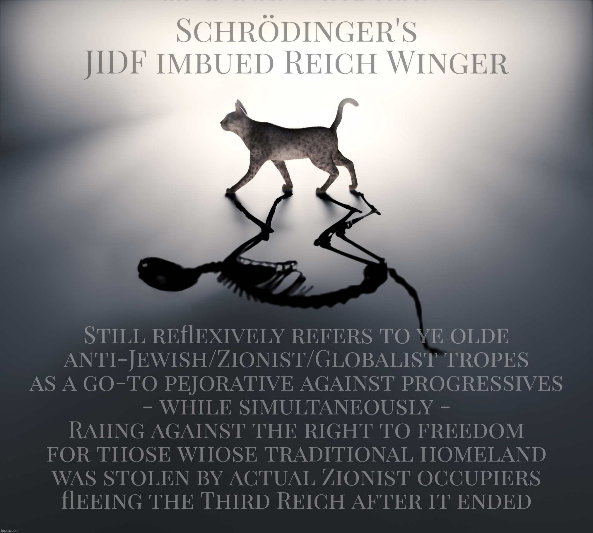 Anti-Semitic trope-hurling Reich Wingers who are also ardent defenders of Israel because hypocrisy is a thing | Schrödinger's
JIDF imbued Reich Winger; Still reflexively refers to ye olde
anti-Jewish/Zionist/Globalist tropes
as a go-to pejorative against progressives
- while simultaneously -
Raiing against the right to freedom
for those whose traditional homeland
was stolen by actual Zionist occupiers
fleeing the Third Reich after it ended | image tagged in schrodinger's cat,schrodinger's jidf imbued reich winger,anti-semitic,pro israel,reich wing,conservative hypocrisy | made w/ Imgflip meme maker