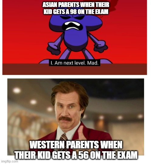 ASIAN PARENTS WHEN THEIR KID GETS A 98 ON THE EXAM; WESTERN PARENTS WHEN THEIR KID GETS A 56 ON THE EXAM | made w/ Imgflip meme maker