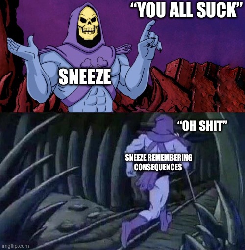 he man skeleton advices | “YOU ALL SUCK”; SNEEZE; “OH SHIT”; SNEEZE REMEMBERING CONSEQUENCES | image tagged in he man skeleton advices | made w/ Imgflip meme maker