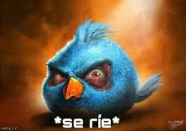 Se rie | image tagged in se rie | made w/ Imgflip meme maker