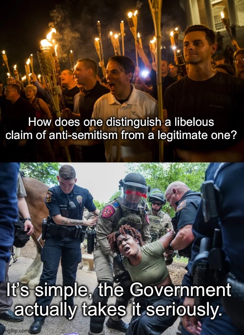 Fun fact: there are cops in both of these pictures. | How does one distinguish a libelous claim of anti-semitism from a legitimate one? It’s simple, the Government actually takes it seriously. | image tagged in fascism,acab,nazi,charlottesville,israel,palestine | made w/ Imgflip meme maker