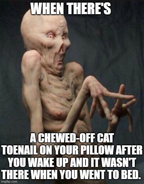 GROSSED OUT ALIEN | WHEN THERE'S; A CHEWED-OFF CAT TOENAIL ON YOUR PILLOW AFTER YOU WAKE UP AND IT WASN'T THERE WHEN YOU WENT TO BED. | image tagged in grossed out alien | made w/ Imgflip meme maker