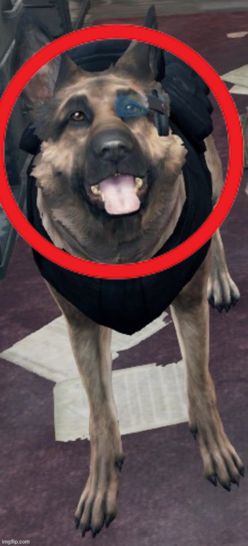 Dogmeat with a scouter from Dragonball Z in Fallout 4 | image tagged in dogmeat with a scouter from dragonball z in fallout 4 | made w/ Imgflip meme maker
