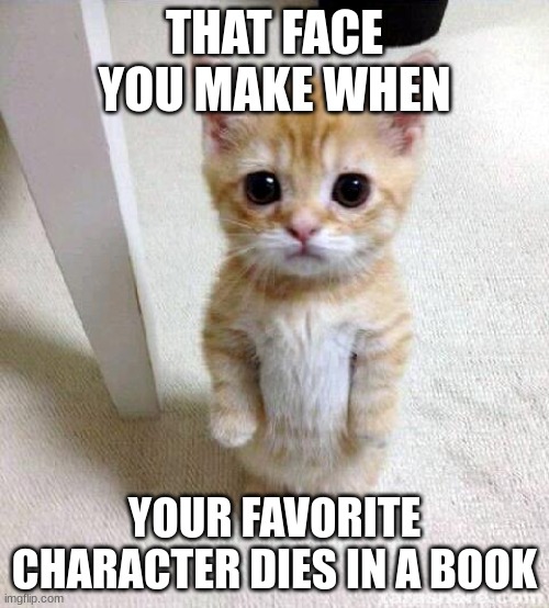 Cute Cat | THAT FACE YOU MAKE WHEN; YOUR FAVORITE CHARACTER DIES IN A BOOK | image tagged in memes,cute cat | made w/ Imgflip meme maker