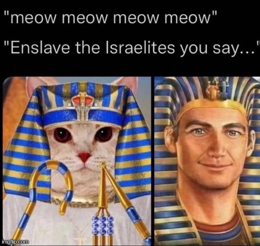 Enslave the Israelites you say... | image tagged in pharaoh,cat | made w/ Imgflip meme maker