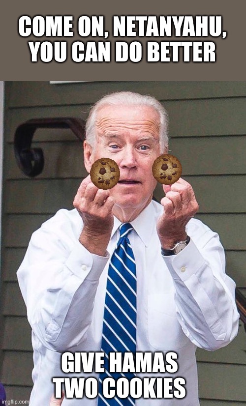 Joe Biden | COME ON, NETANYAHU, YOU CAN DO BETTER GIVE HAMAS TWO COOKIES | image tagged in joe biden | made w/ Imgflip meme maker