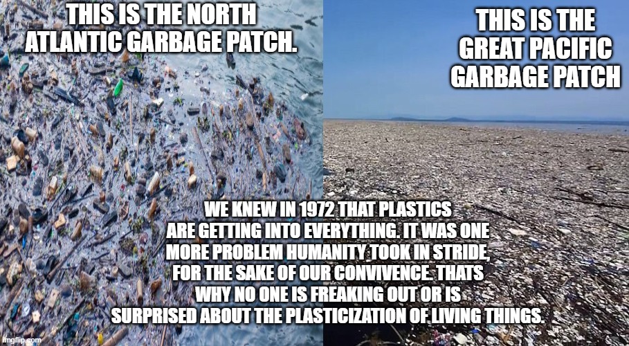 the things about our trash you dont see. | THIS IS THE NORTH ATLANTIC GARBAGE PATCH. THIS IS THE GREAT PACIFIC GARBAGE PATCH; WE KNEW IN 1972 THAT PLASTICS ARE GETTING INTO EVERYTHING. IT WAS ONE MORE PROBLEM HUMANITY TOOK IN STRIDE, FOR THE SAKE OF OUR CONVIVENCE. THATS WHY NO ONE IS FREAKING OUT OR IS SURPRISED ABOUT THE PLASTICIZATION OF LIVING THINGS. | image tagged in garbage meme | made w/ Imgflip meme maker