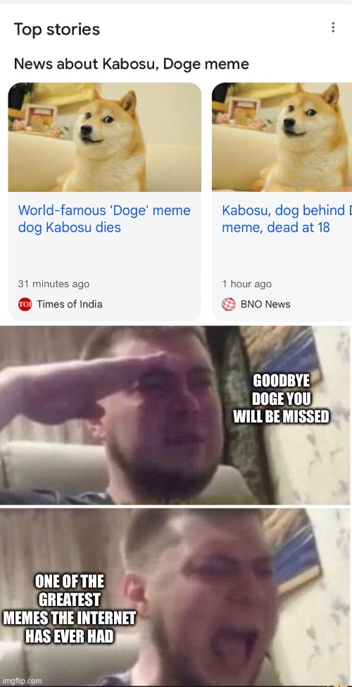 Unfortunately not misinformation. Let’s give our Doge some love. | GOODBYE DOGE YOU WILL BE MISSED; ONE OF THE GREATEST MEMES THE INTERNET HAS EVER HAD | image tagged in crying salute,doge,death,rest in peace,sad | made w/ Imgflip meme maker