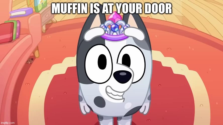 muffiin is at your door | MUFFIN IS AT YOUR DOOR | image tagged in muffiin is at your door,bluey | made w/ Imgflip meme maker