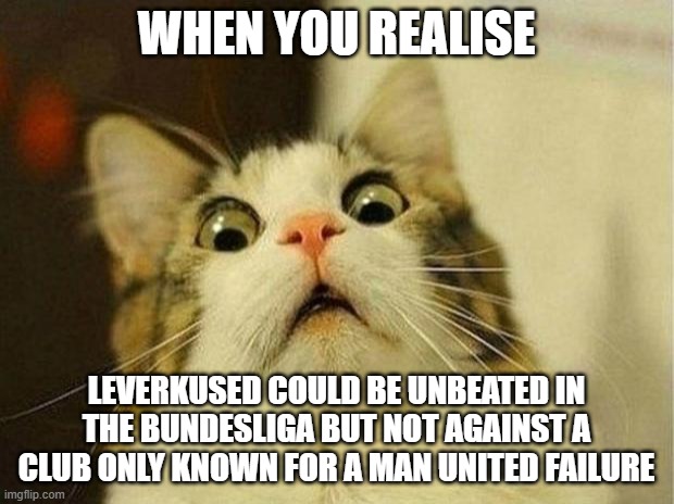 Scared Cat Meme | WHEN YOU REALISE; LEVERKUSED COULD BE UNBEATED IN THE BUNDESLIGA BUT NOT AGAINST A CLUB ONLY KNOWN FOR A MAN UNITED FAILURE | image tagged in memes,scared cat | made w/ Imgflip meme maker