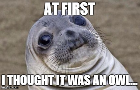 Awkward Moment Sealion Meme | AT FIRST I THOUGHT IT WAS AN OWL... | image tagged in memes,awkward moment sealion | made w/ Imgflip meme maker