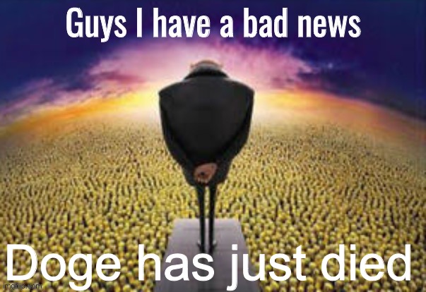 I have terrible news | Doge has just died | image tagged in guys i have a bad news | made w/ Imgflip meme maker