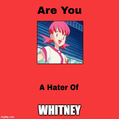 are you a hater of whitney | WHITNEY | image tagged in are you a hater of blank,whitney houston,pokemon,nintendo,videogames | made w/ Imgflip meme maker