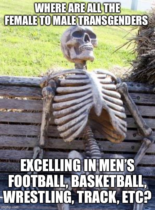 The most compellling argument against transgenders in women’s sports: it’s not a 2 way street | WHERE ARE ALL THE FEMALE TO MALE TRANSGENDERS; EXCELLING IN MEN’S FOOTBALL, BASKETBALL, WRESTLING, TRACK, ETC? | image tagged in waiting skeleton,transgenders,sports | made w/ Imgflip meme maker