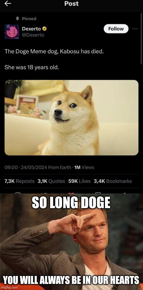 RIP Doge | SO LONG DOGE; YOU WILL ALWAYS BE IN OUR HEARTS | image tagged in barney stinson salute,rip,doge,memes,f in the chat | made w/ Imgflip meme maker