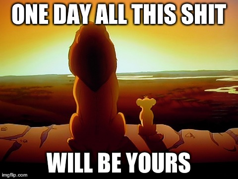 Lion King Meme | ONE DAY ALL THIS SHIT WILL BE YOURS | image tagged in memes,lion king | made w/ Imgflip meme maker