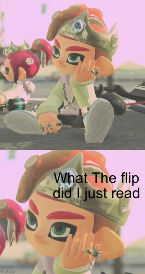Octoling Boy what the flip did I just read | image tagged in octoling boy what the flip did i just read | made w/ Imgflip meme maker