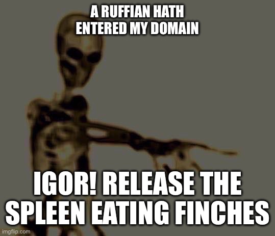 skeleton pointing | A RUFFIAN HATH ENTERED MY DOMAIN; IGOR! RELEASE THE SPLEEN EATING FINCHES | image tagged in skeleton pointing | made w/ Imgflip meme maker