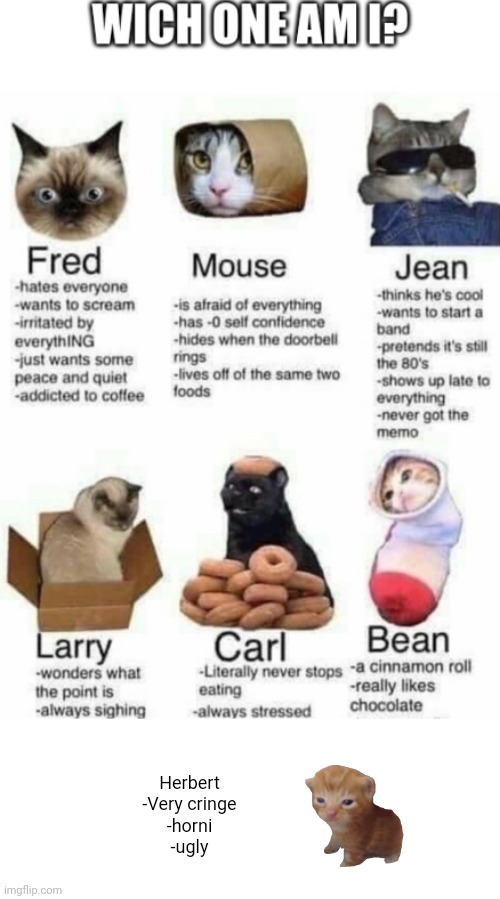 wich cat am i | Herbert
-Very cringe
-horni
-ugly | image tagged in wich cat am i | made w/ Imgflip meme maker