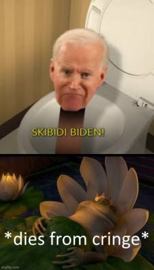 This is real and it aired on television | image tagged in dies of cringe,skibidi toilet,cringe | made w/ Imgflip meme maker