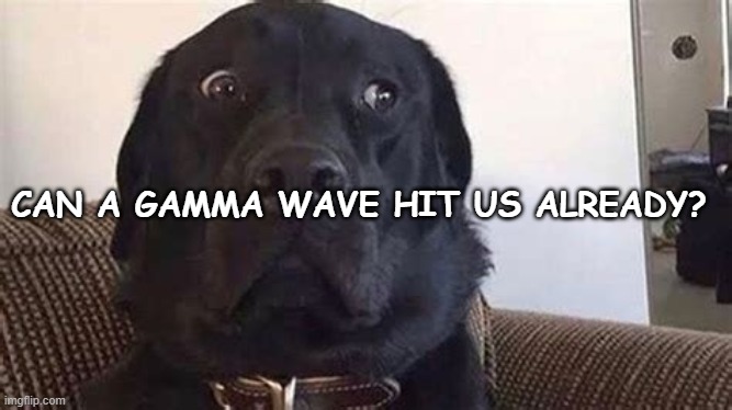 Gamma Wave | CAN A GAMMA WAVE HIT US ALREADY? | image tagged in does your dog bite,gamma wave,dog,side eye | made w/ Imgflip meme maker