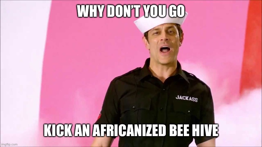 Johnny Knoxville | WHY DON’T YOU GO KICK AN AFRICANIZED BEE HIVE | image tagged in johnny knoxville | made w/ Imgflip meme maker