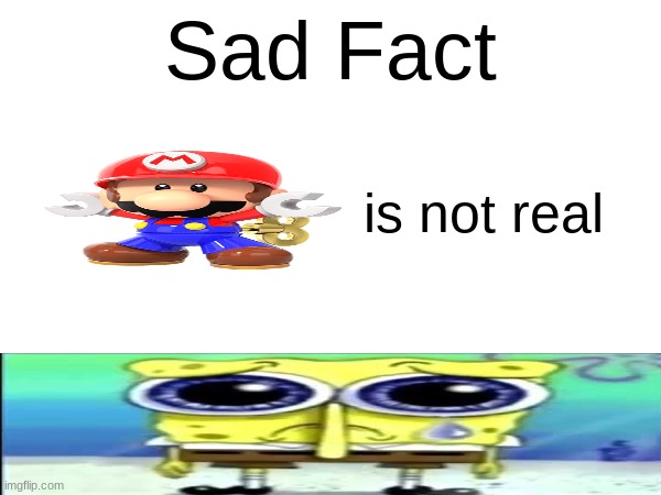 Sad Fact; is not real | made w/ Imgflip meme maker