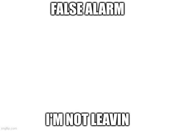 FALSE ALARM; I'M NOT LEAVIN | image tagged in ok | made w/ Imgflip meme maker