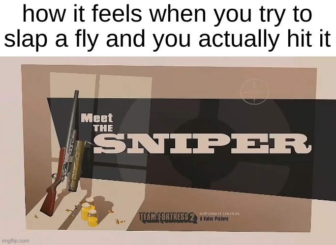 Meet The SNIPER | how it feels when you try to slap a fly and you actually hit it | image tagged in meet the sniper | made w/ Imgflip meme maker