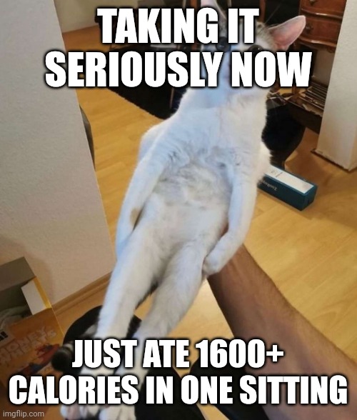 once ate 2200+ something cals in one sitting too | TAKING IT SERIOUSLY NOW; JUST ATE 1600+ CALORIES IN ONE SITTING | image tagged in this car think he a chicken | made w/ Imgflip meme maker