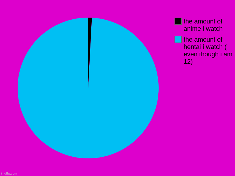 the amount of hentai i watch ( even though i am 12), the amount of anime i watch | image tagged in charts,pie charts | made w/ Imgflip chart maker