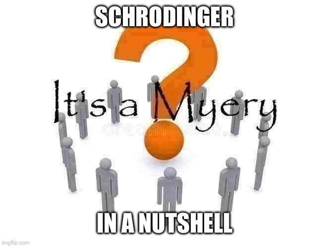 It's a Myery | SCHRÖDINGER; IN A NUTSHELL | image tagged in it's a myery | made w/ Imgflip meme maker