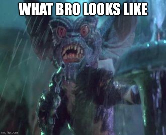 wet gremlin | WHAT BRO LOOKS LIKE | image tagged in wet gremlin | made w/ Imgflip meme maker