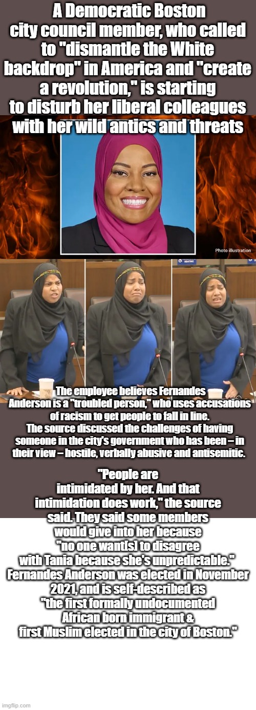 Anderson was elected in 11 /2021, and is self-described as "the first formally "undocumented "African born immigrante. | A Democratic Boston city council member, who called to "dismantle the White backdrop" in America and "create a revolution," is starting to disturb her liberal colleagues with her wild antics and threats; The employee believes Fernandes Anderson is a "troubled person," who uses accusations of racism to get people to fall in line. The source discussed the challenges of having someone in the city's government who has been – in their view – hostile, verbally abusive and antisemitic. "People are intimidated by her. And that intimidation does work," the source said. They said some members would give into her because "no one want[s] to disagree with Tania because she's unpredictable." 

Fernandes Anderson was elected in November 2021, and is self-described as "the first formally undocumented African born immigrant & first Muslim elected in the city of Boston." | image tagged in blank white template | made w/ Imgflip meme maker