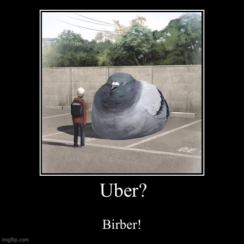 Birb | Uber? | Birber! | image tagged in funny,demotivationals | made w/ Imgflip demotivational maker