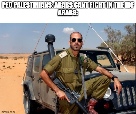 Their are Arabs fighting in the IDF. | PEO PALESTINIANS: ARABS CANT FIGHT IN THE IDF
ARABS: | image tagged in israel,arab,soldier | made w/ Imgflip meme maker