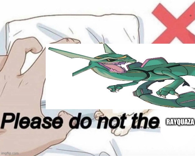 Please do not the cat | RAYQUAZA | image tagged in please do not the cat | made w/ Imgflip meme maker