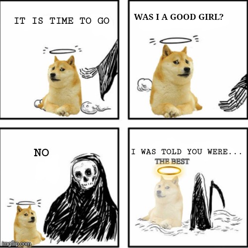 Kabosu a.k.a. Doge | WAS I A GOOD GIRL? IT IS TIME TO GO; I WAS TOLD YOU WERE... NO | image tagged in doge,much wow,dog,rip,shiba inu,memes | made w/ Imgflip meme maker